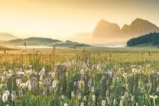 麻豆文化传媒www-新视野下的麻豆文化传媒探讨，以创意与传承为核心动力