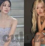 人妻 一区二区-角色与界限，人妻在一区二区中的微妙平衡