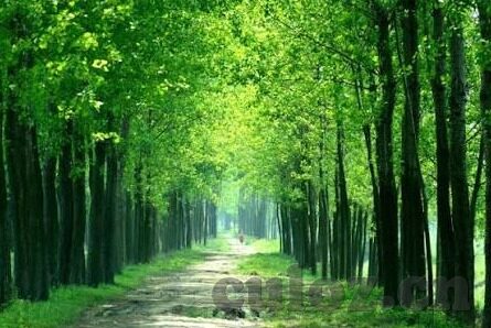 糖心app软件下载苹果-探索个性化智能生活，糖心App在苹果设备上的下载与应用