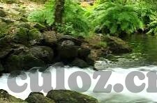 糖心v log官网入口-探秘隐藏的梦幻角落，糖心v log官网的独特魅力
