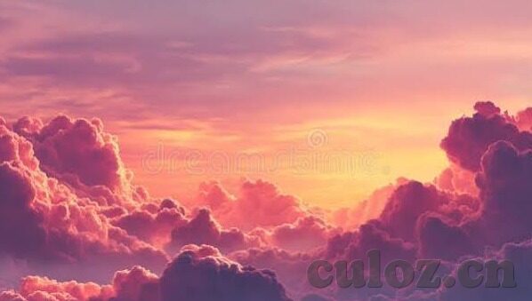 亚洲福利一区二区-亚洲福利一区二区，区域发展与社会福祉的深度融合