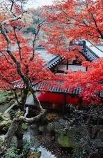 最近的2019中文字幕免费一页-2019年免费中文字幕的探索与影响